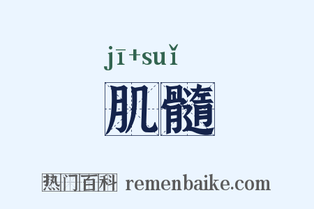 肌髓是什么意思的图片
